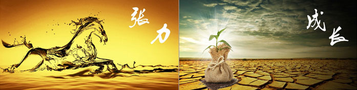 企業(yè)發(fā)展要學會取他人之長、補自己之短